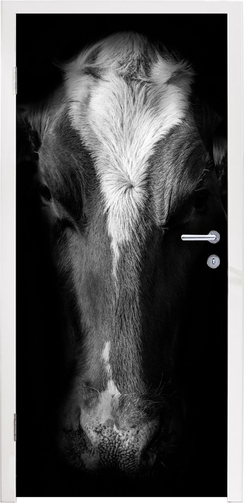 MuchoWow Türtapete Selbstklebende Türfolie Kuh Porträt auf schwarzem Hintergrund in schwarz und weiß 95x215 cm Türposter Türaufkleber Klebe...