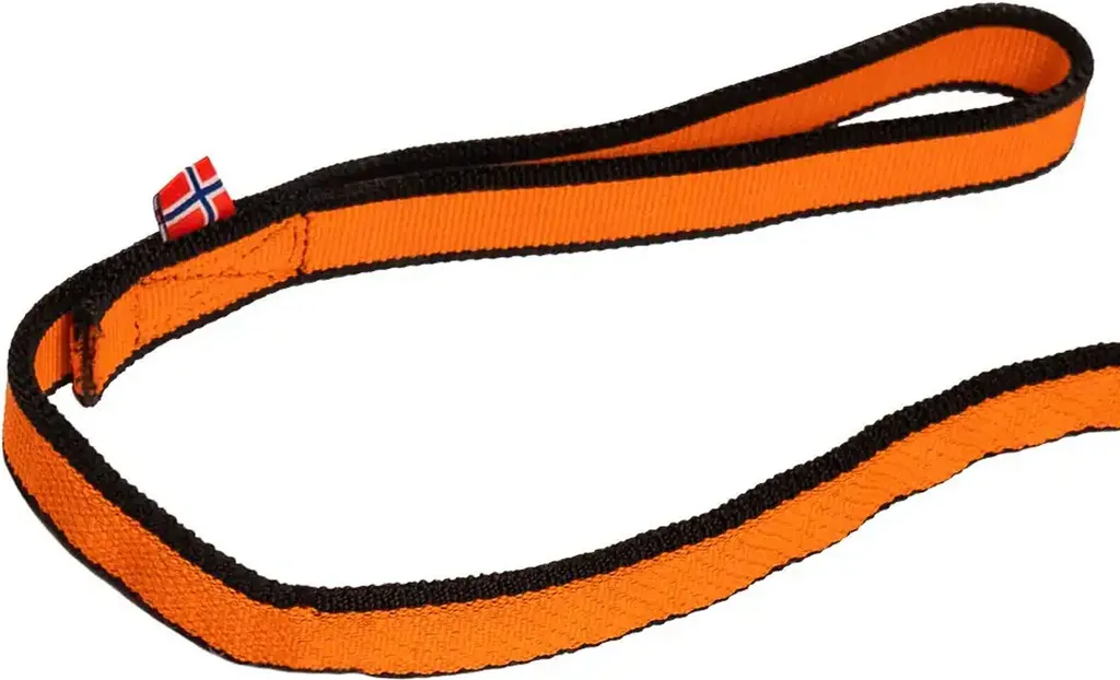 Laisse de canicross Bungee Leash 2.0 de 2m idéale pour randonnée active - 3