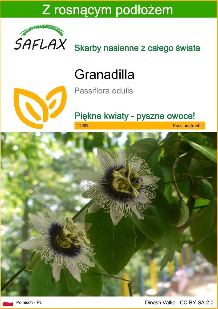 SAFLAX - Granadilla - 40 Nasiona - Z podłożem uprawowym Zdjęcie produktu 