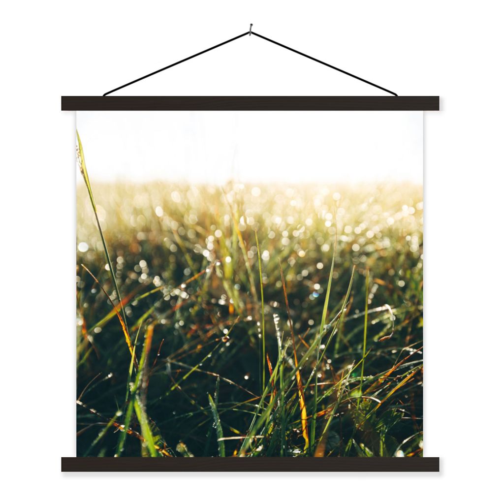 MuchoWow Textilposter Rasenfläche - Pampasgras 90x90 cm mit schwarzem Rahmen - Magnetisches