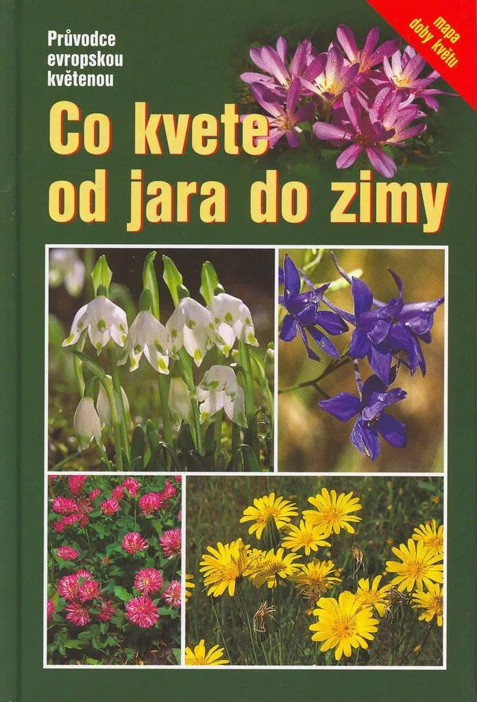 Livre de botanique illustré Eva Maria Dreyer - Floraison de A à Z