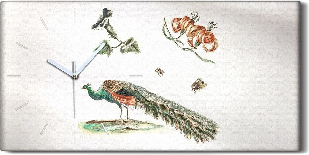 Dekor Leinwand Uhr Wandbilder 60x30 Zeichnung Tier Vogel Pfau Blumen Kunst - weiße Hände