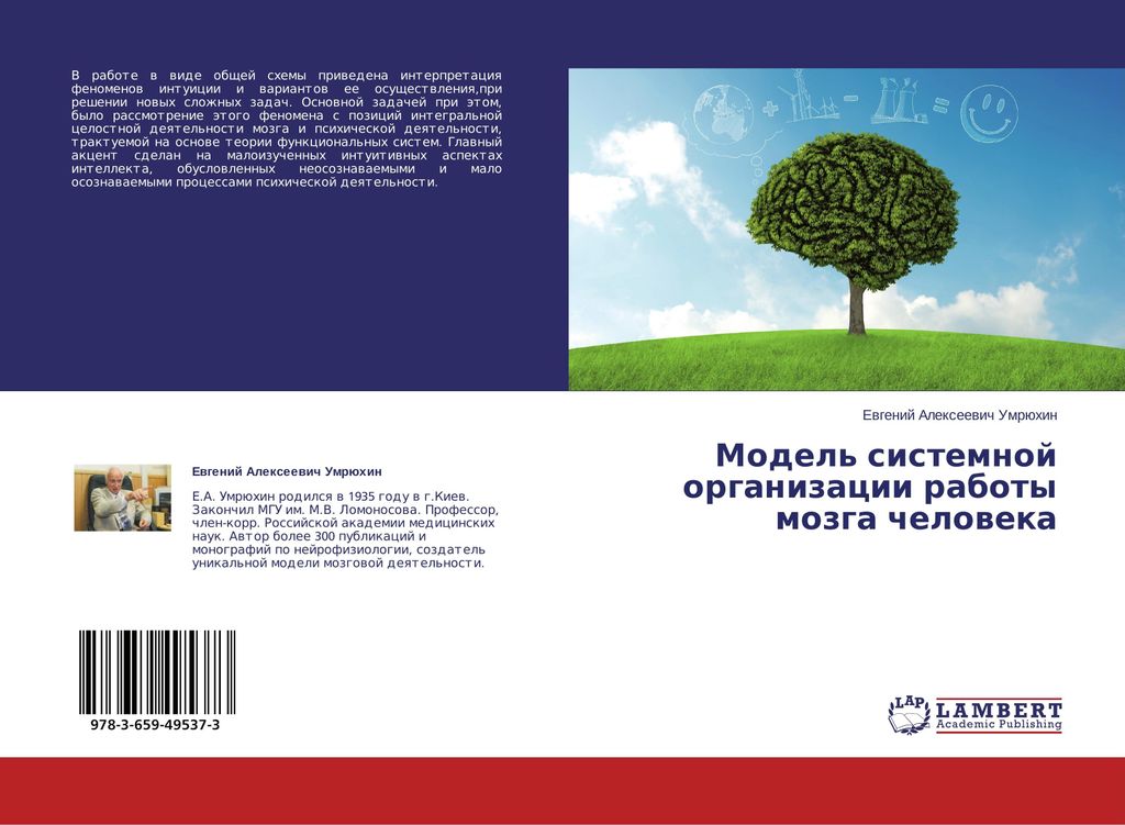 Model' sistemnoj organizacii raboty mozga cheloweka