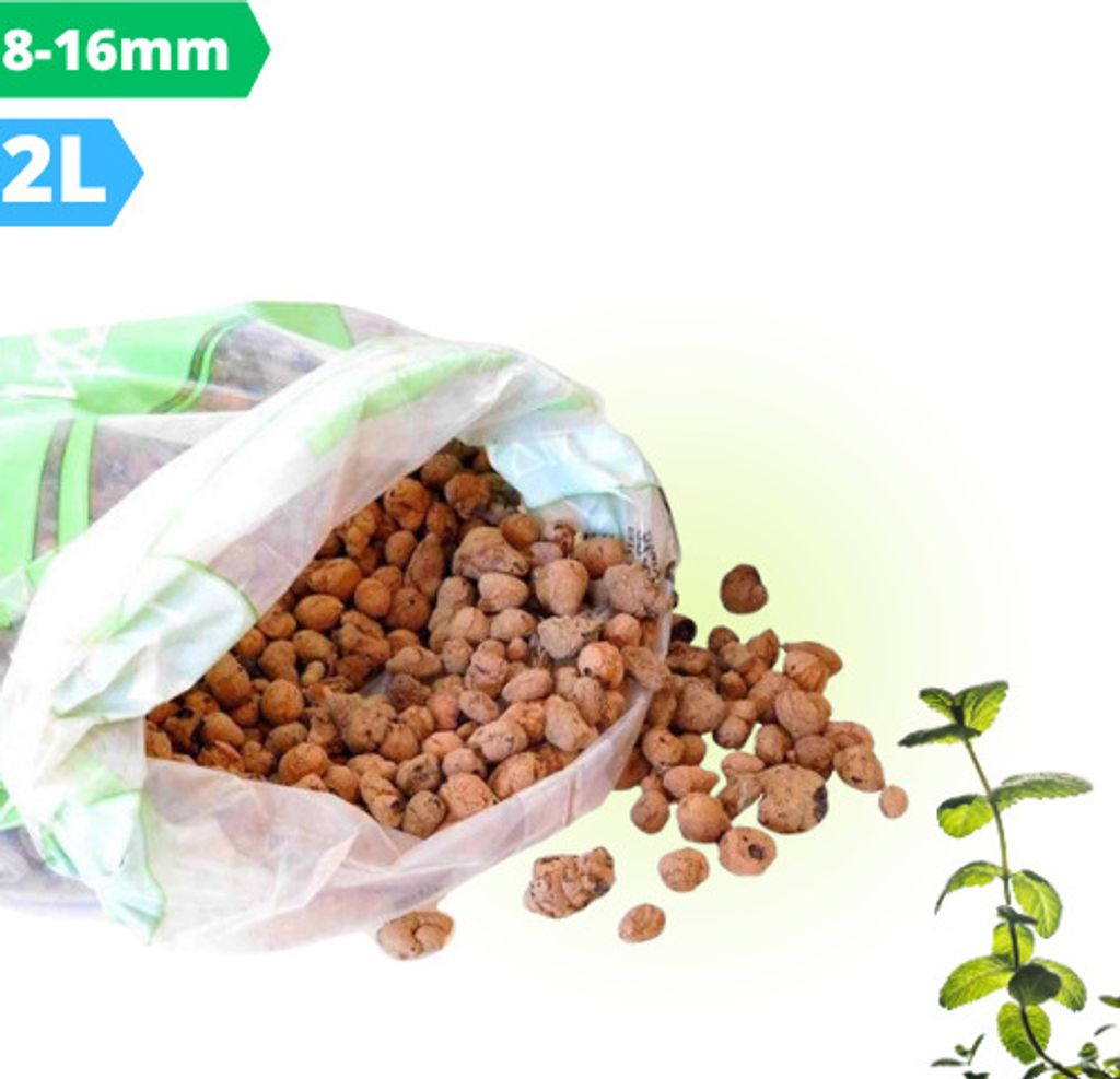 A bag of expanded clay pebbles spilling onto a white and light green background, with a mint plant on the right.