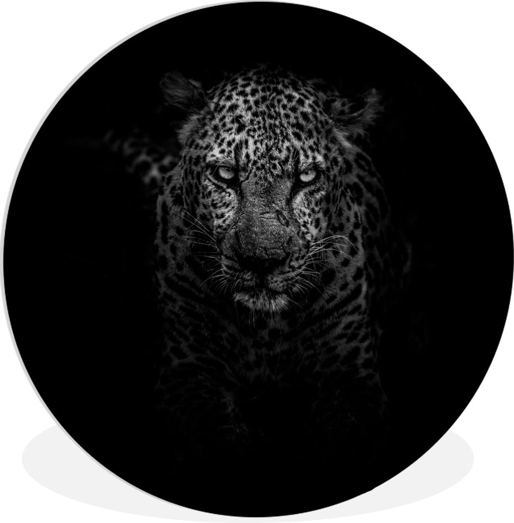 MuchoWow Rundes Wandbild - Runde Bilder Leopard - Schwarz - Weiß Ø 60 cm Kreis Wanddekoration Kunststoff - Wandkreis - Wandschmuck - Wand Kreis...