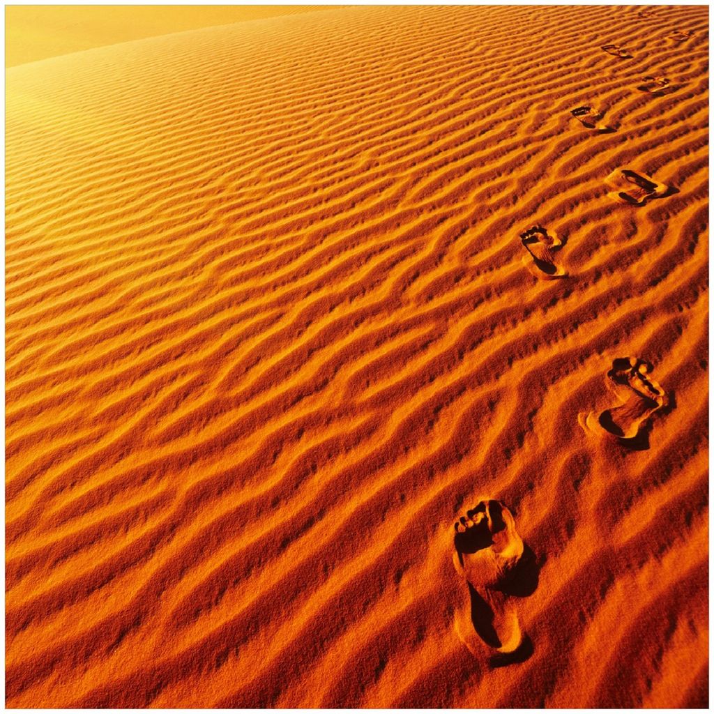 Wallario Premium Glasbild, freischwebende Optik, kräftige Farben, Größe 30 x 30 cm Motiv Fußspuren im Sand - Sanddüne in der Wüste