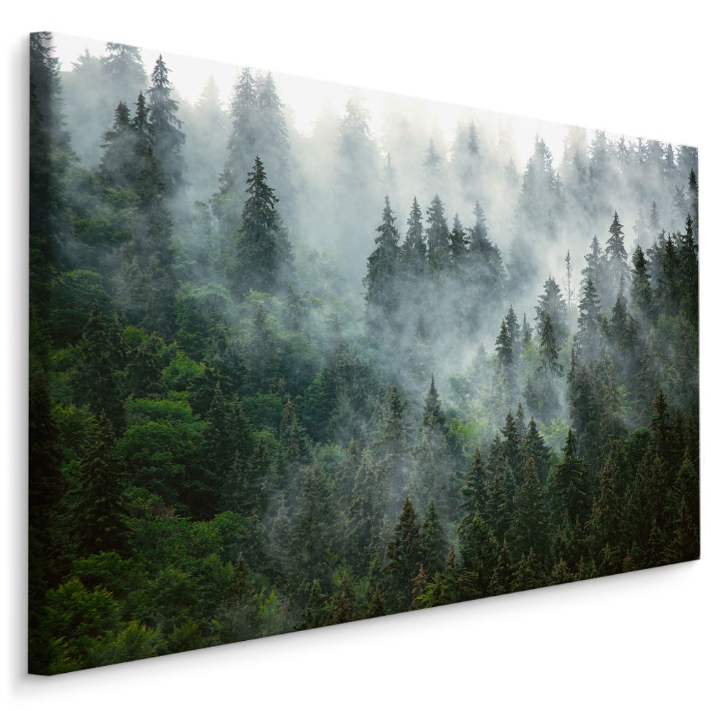 Leinwand-Bilder Wandbild Canvas Kunstdruck 125x50 Fußpfad Landschaft 