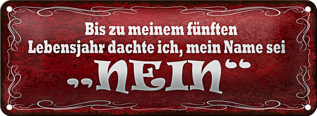 Blechschild Spruch 27x10cm ich dachte mein Name sei NEIN Dekoration