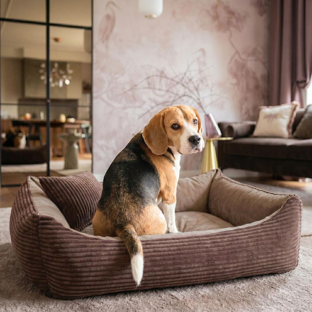 4L Textil MOLLY Kuscheliges Cord Hundebett mittelgroße Produktbild 