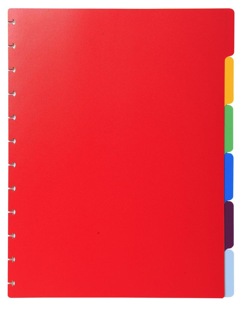 Exacompta 86002E Register 6-teilig DIN A4 Maxi farbig Produktbild 