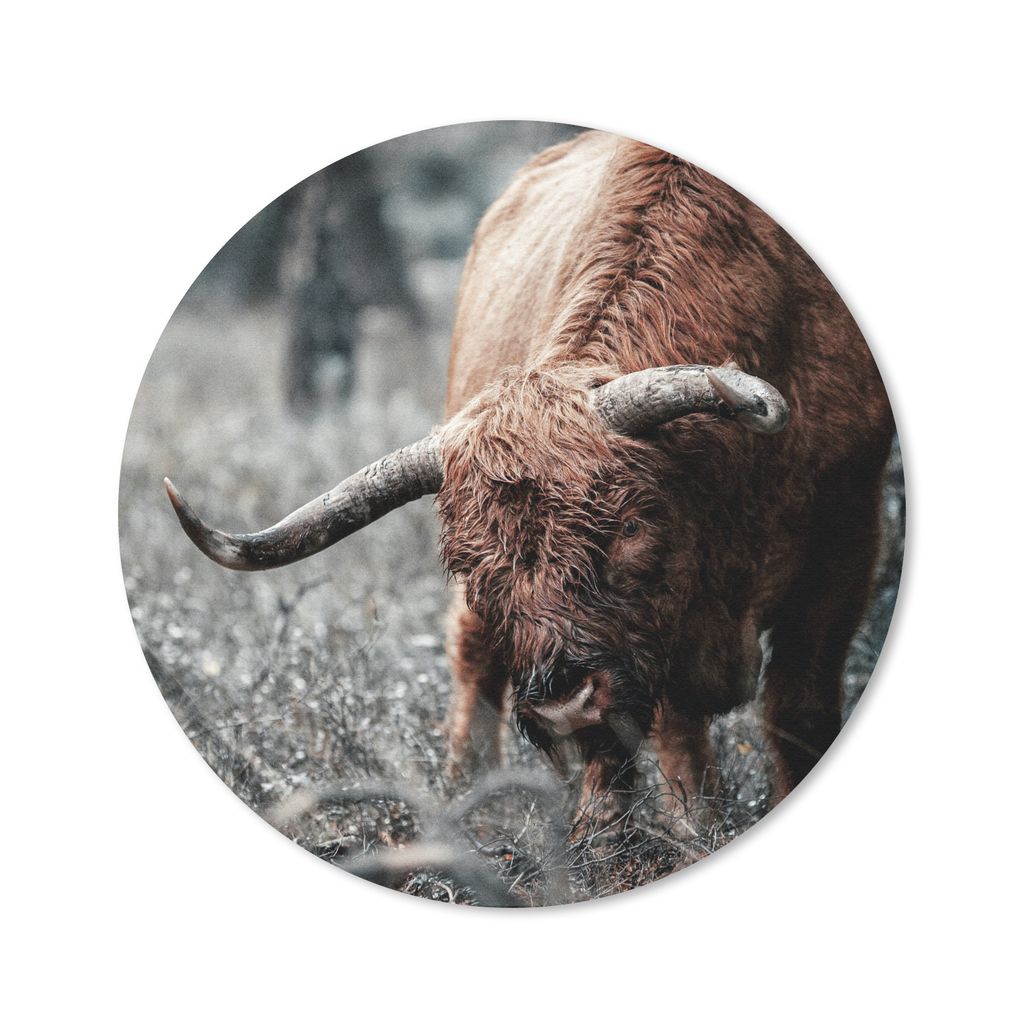 MuchoWow Mauspad Mousepad Schottischer Highlander - Kuh - Winter 30x30 cm - Mousepads - Maus Mat - Pad - Mausunterlage - Tischunterlage - Schreib...