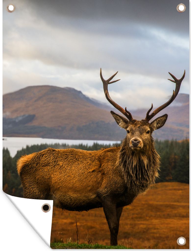 MuchoWow 30x40 cm Outdoor-Poster Gartendeko Sichtschutz Garten Poster für den Garten Hirsche - Berge - Wasser - Landschaft - Tiere - Bäume