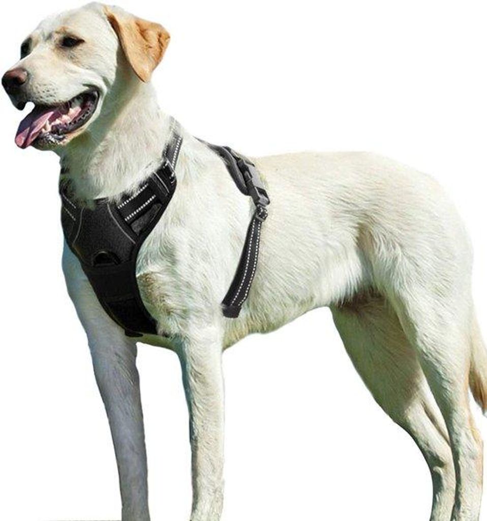 Hundegeschirr luxus duurzaam