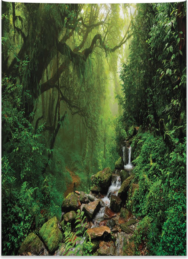 Abakuhaus Wald Wandteppich, Frühling in Nepal Fußweg aus Weiches Mikrofaser Stoff Kein Verblassen Klare Farben Waschbar, 110 x 150 cm, Grün braun