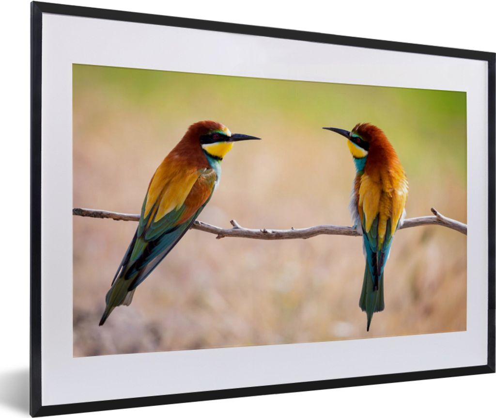 MuchoWow Gerahmtes Poster Vögel - Bienenfresser - Tiere 60x40 cm - Poster mit Schwarzem Bilderrahmen Wandposter Rahmen Foto Bilder - Schlafzimme...