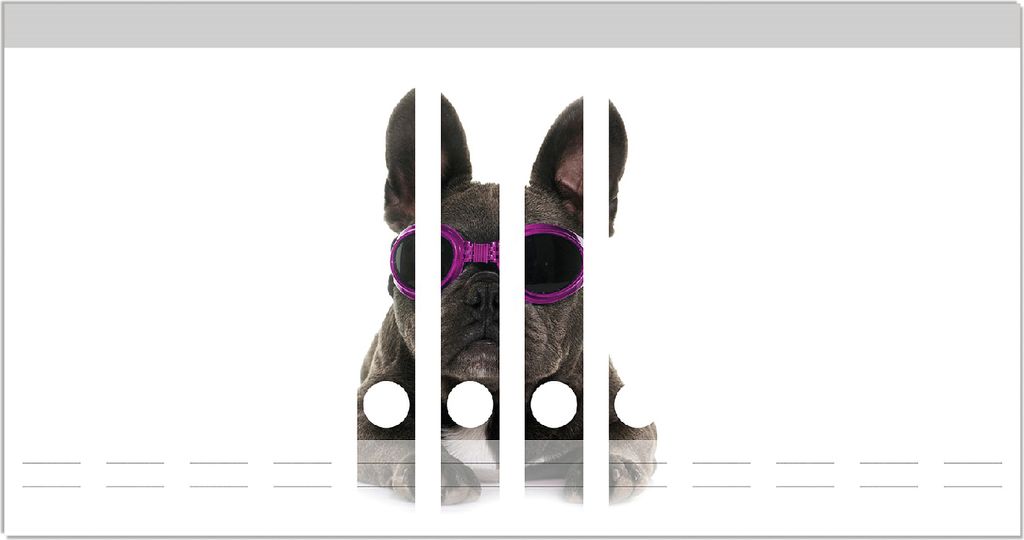 Wallario Ordnerrücken Sticker, selbstklebend für schmale Ordner, 12 Stück, Motiv Cooler Hund mit Sonnenbrille in pink - Französische Bulldogge