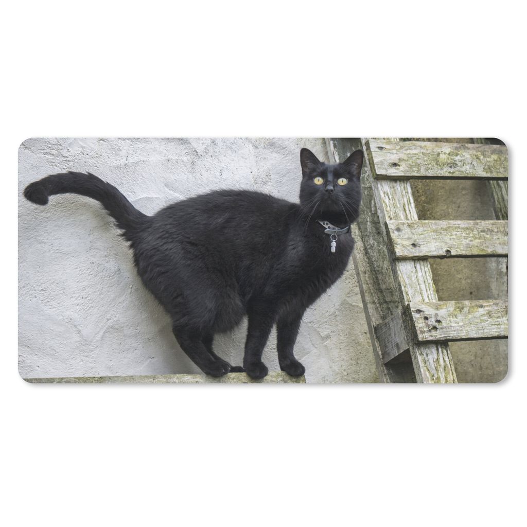 MuchoWow Schreibtischunterlage Katze - Schwarz - Palette - Mädchen - Jungen - Kind 80x40 cm - XXL Mauspad - Gaming Mauspad