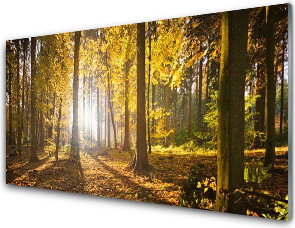 Acrylglasbilder 100x50 Wandbild Druck Wald Natur