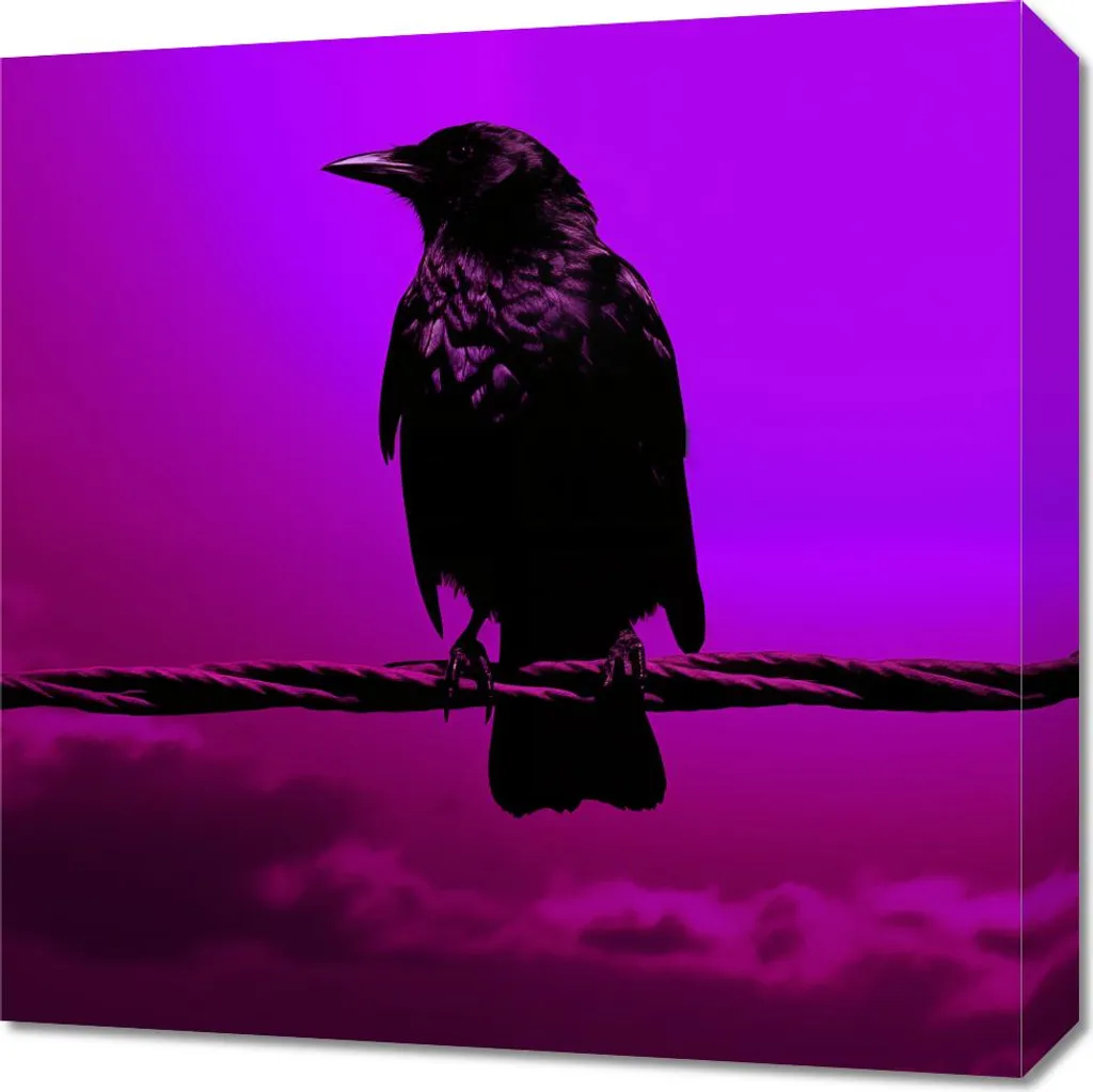 Quadro 50x50 Silhouette del Mistero | Emozioni Noir su Tela Canvas