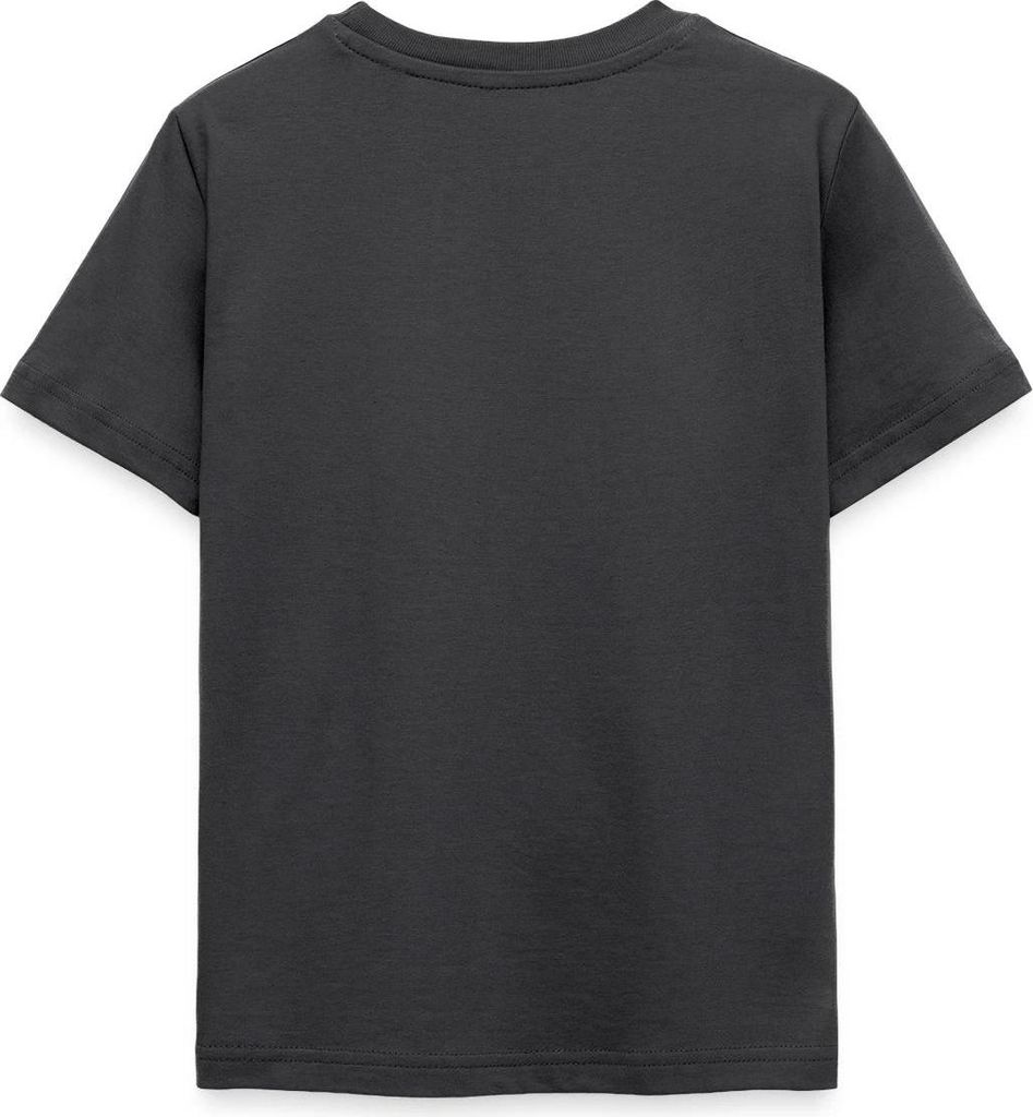 Spreadshirt Die Wilden Kerle Spruch Motto mit Logo Teenager T-Shirt, 152/164 (12-14 Jahre), Dunkelgrau