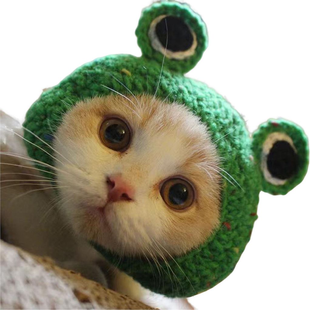 Gestrickte Haustiermütze, handgefertigt, gehäkelt, Frosch, Gott des Reichtums, Kostümzubehör, warme Wintermütze für kleine Katzen und Hunde