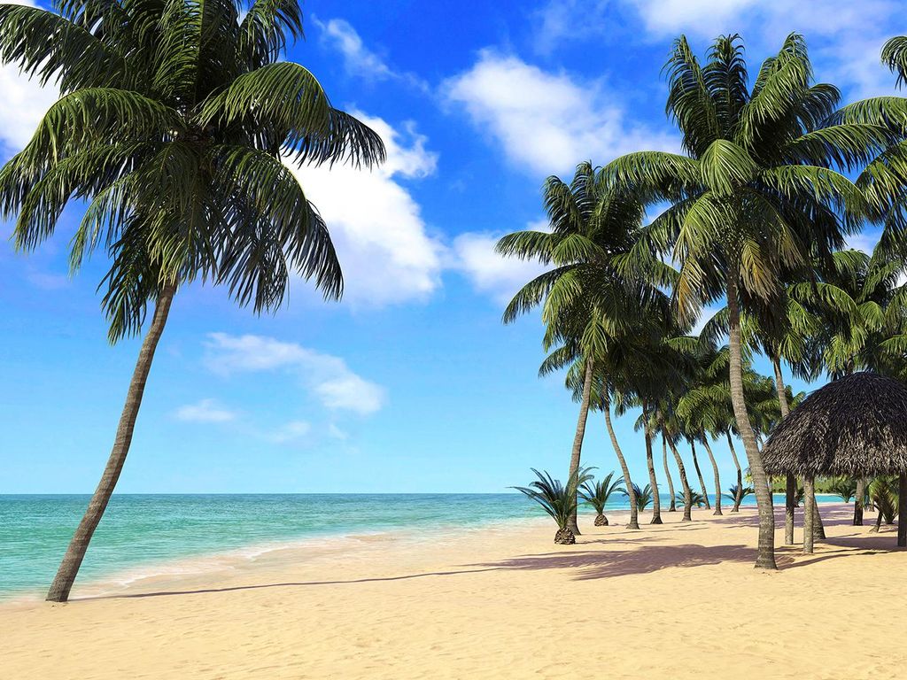 Sanders & Sanders Fototapete Strand-Motiv Blau, Beige und Grün 375 x 270 cm