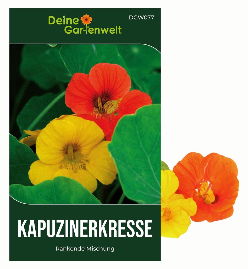 Kapuzinerkresse Rankende Mischung Samen - Tropaeolum majus Produktbild 
