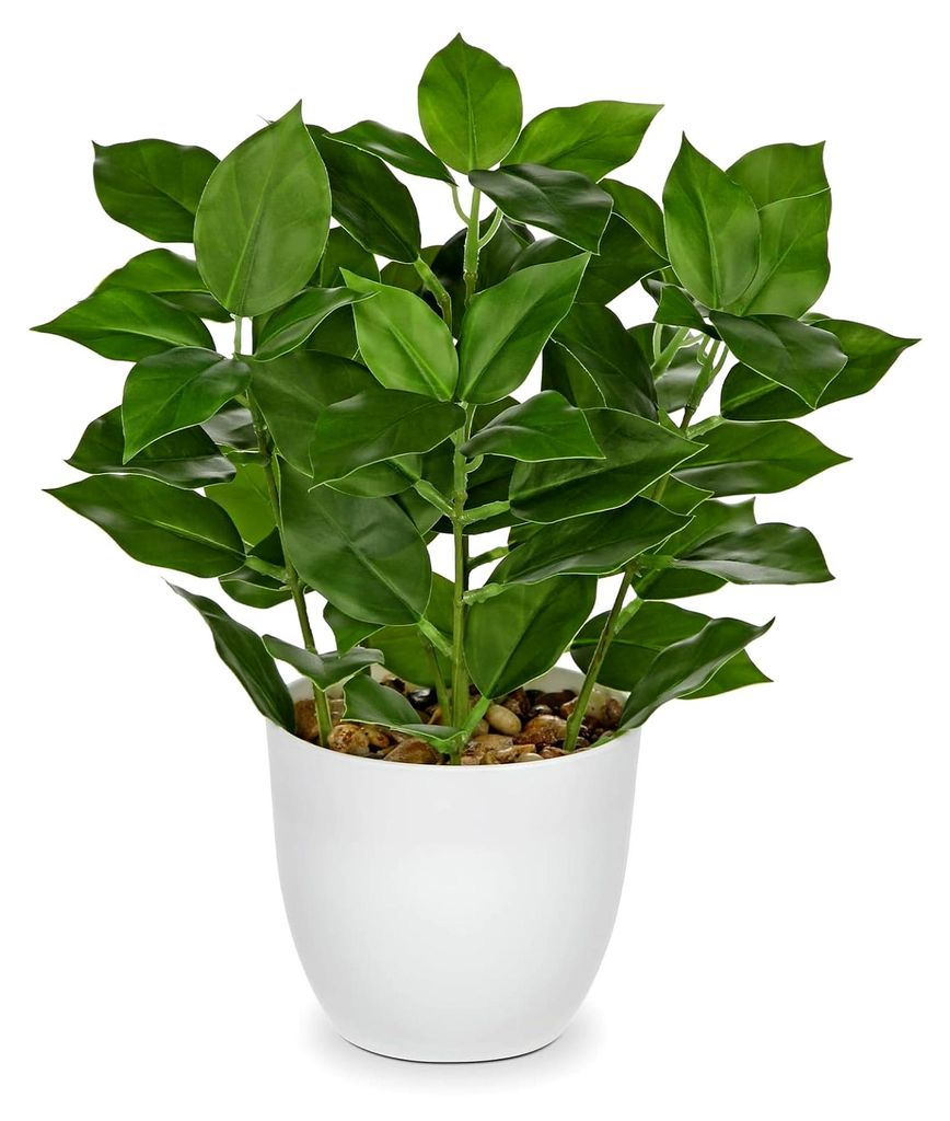 Kunstpflanze Ficus im Topf für Fensterbank und Wohnraumdekoration