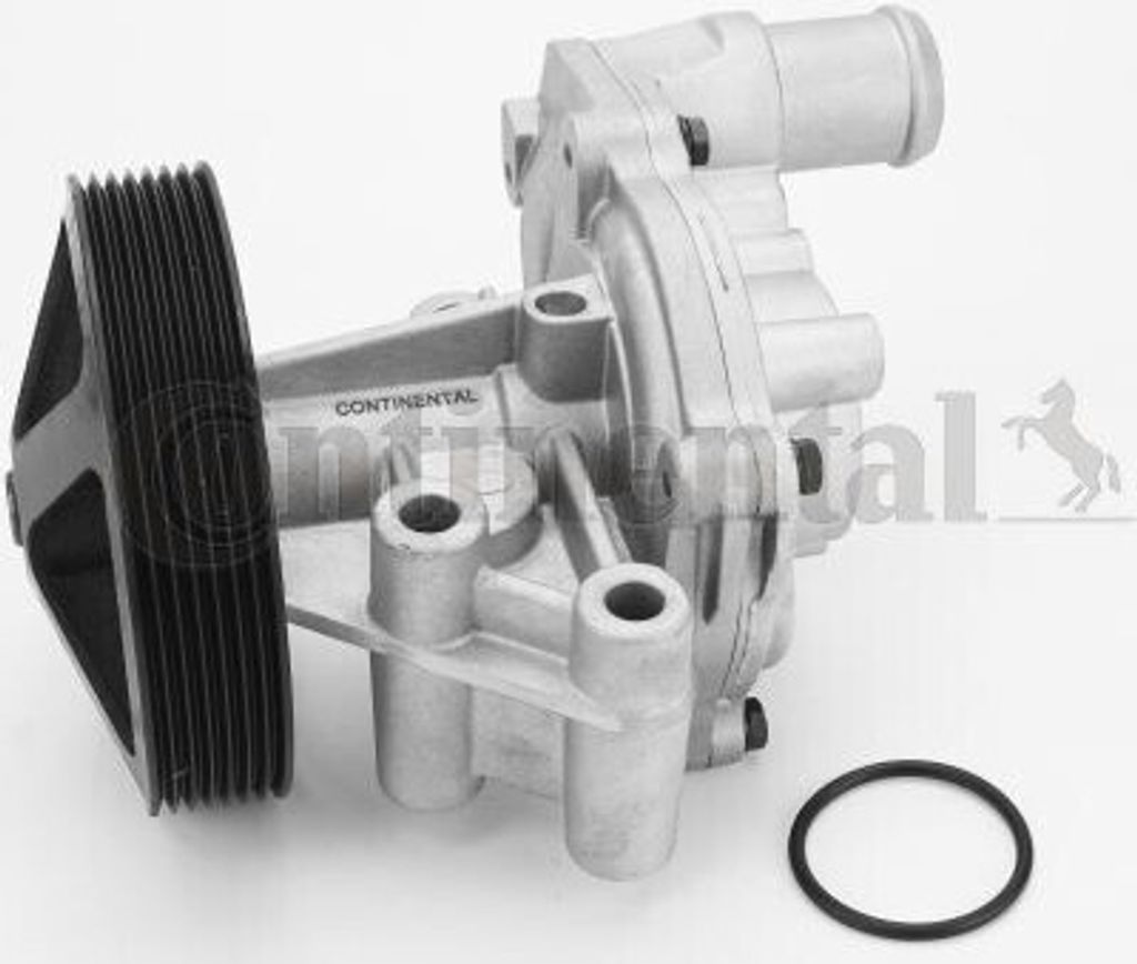 Continental ContiTech WPS3081 Kühlmittelpumpe Wasserpumpe für FORD RANGER (TKE) Transit Mk6 Kasten (V347, V348, FA) Transit Mk7 Kastenwagen