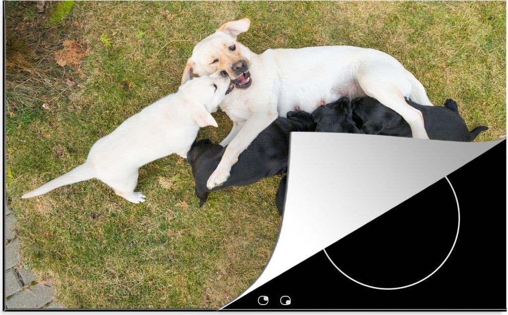 KitchenYeah Herdabdeckplatte Hund mit vielen Welpen , 81x52cm, Küche Deko, Glaskeramikfeld Herdabdeckung, Abdeckplatte fùr Kochfeld