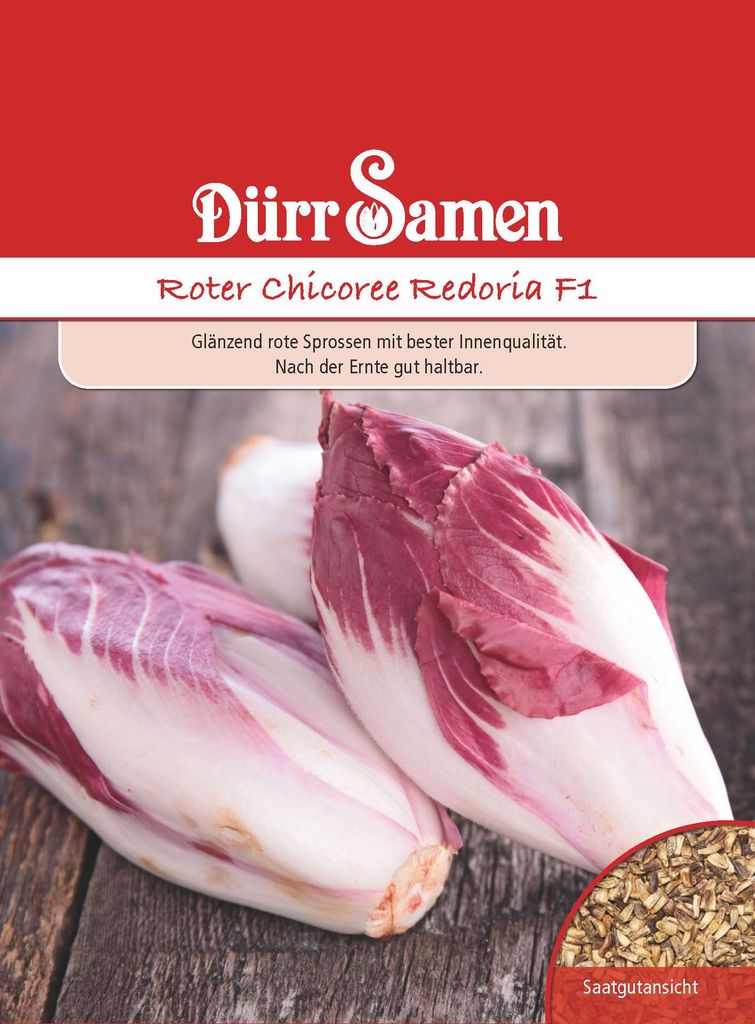 Roter Chicoree Redoria F1 | Chicoreesamen von Dürr Samen Produktbild 