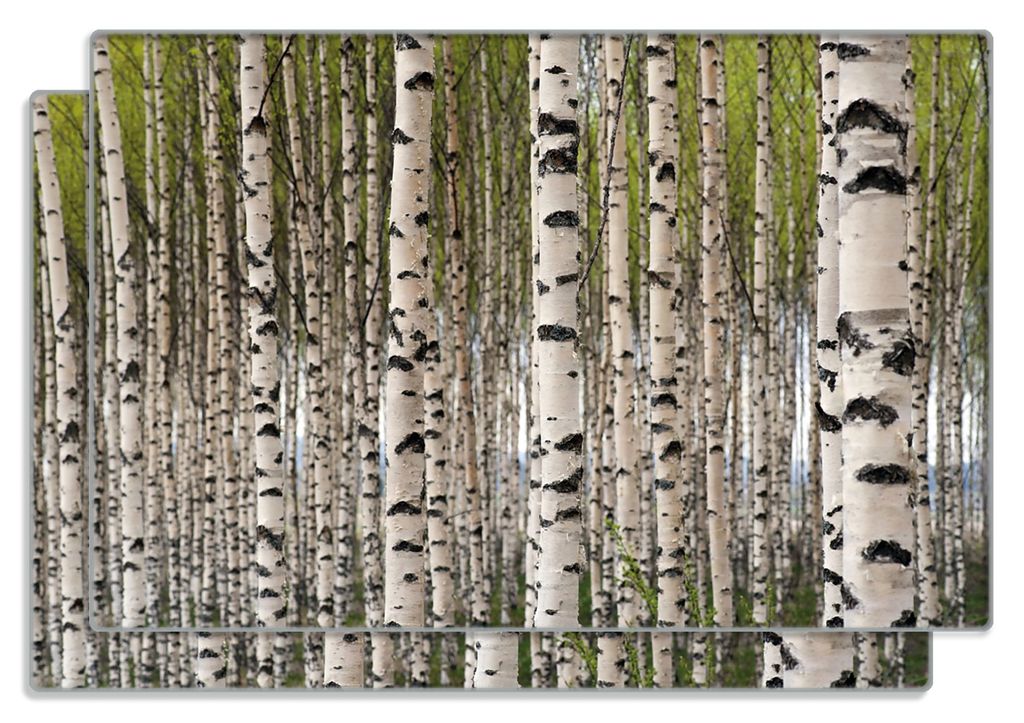 Wallario Frühstücksbrettchen 2er Set aus Glas, je 20 x 30 cm, mit rutschfesten Füßen, Motiv Birkenwald - Baumstämme in schwarz weiß