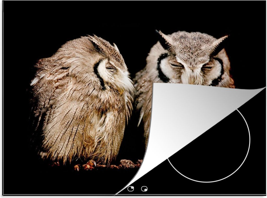 KitchenYeah Herdabdeckplatte Eule - Vogel - Schwarz , 70x52cm, Küche Deko, Glaskeramikfeld Herdabdeckung, Abdeckplatte fùr Kochfeld