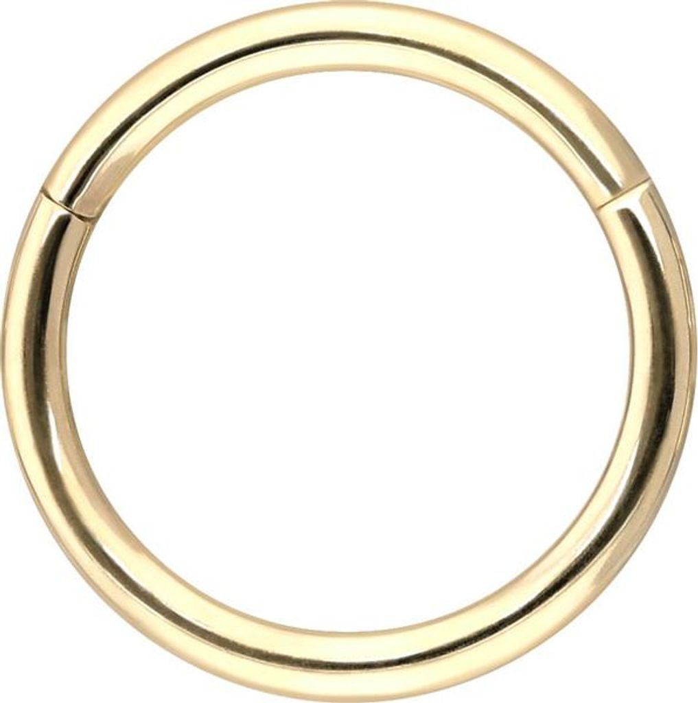 Ohrpiercing, Nasenpiercing, Septum Piercing 14/18 Karat Gold Segmentring Clicker 18 Karat | Gold Innendurchmesser: 8mm | Stabstärke: 0,8mm