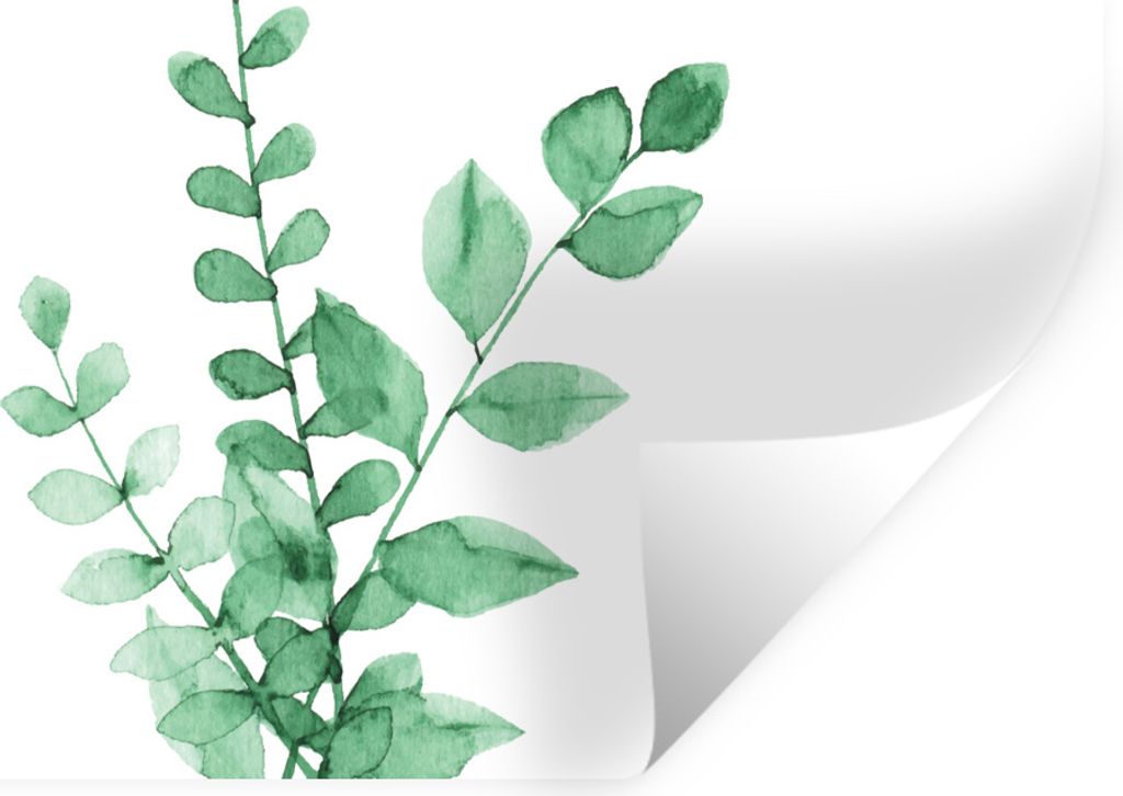 MuchoWow Wandtattoo Wandsticker Wandaufkleber Aquarelle - Blätter - Pflanzen 80x40 cm Selbstklebend und Repositionierbar - Aufkleber