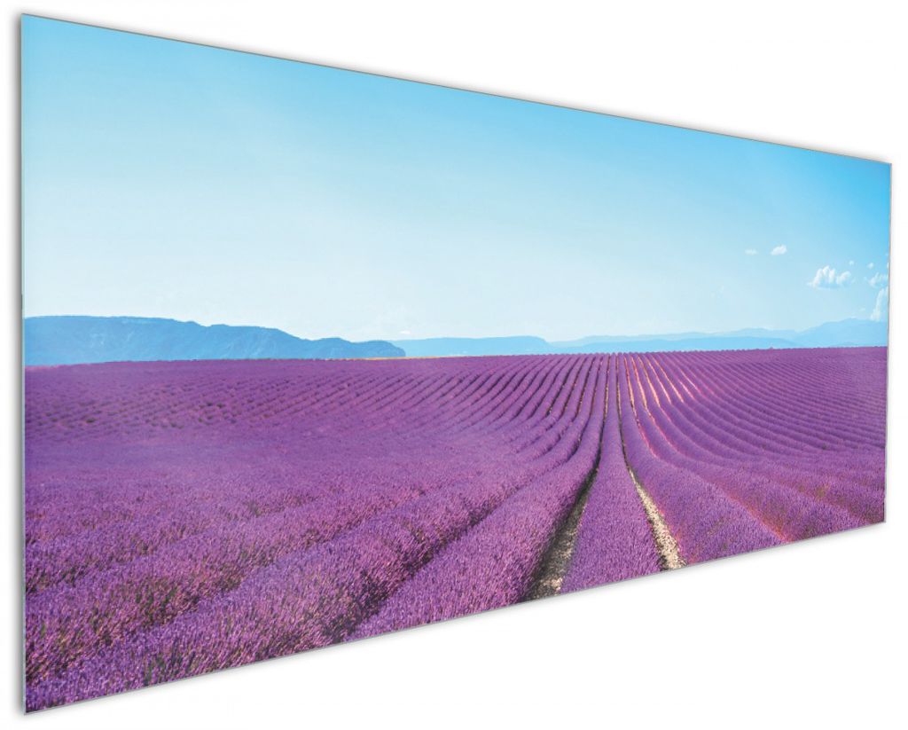 Wallario Küchenrückwand aus Glas, Größe: 125 x 50 cm, Motiv: Lavendelfeld unter blauem Himmel | Spritzschutz | abwischbar | pflegeleicht | in