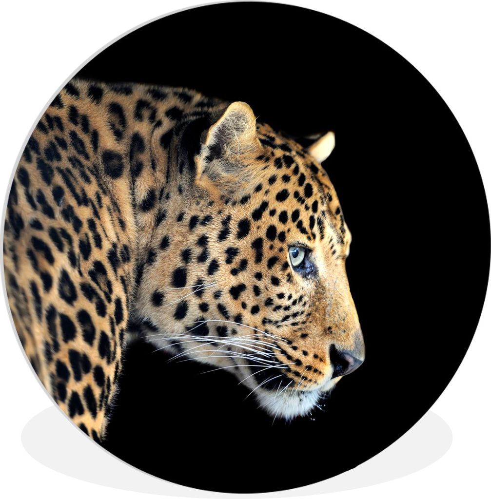 MuchoWow Rundes Wandbild - Runde Bilder Leopard - Tiere - Schwarz Ø 60 cm Kreis Wanddekoration Kunststoff - Wandkreis - Wandschmuck - Wand Kreis...