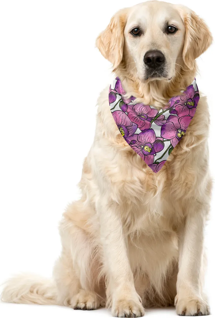 Foulard Cane Luxury ABAKUHAUS Orchidee 55cm - Accessorio Fashion
