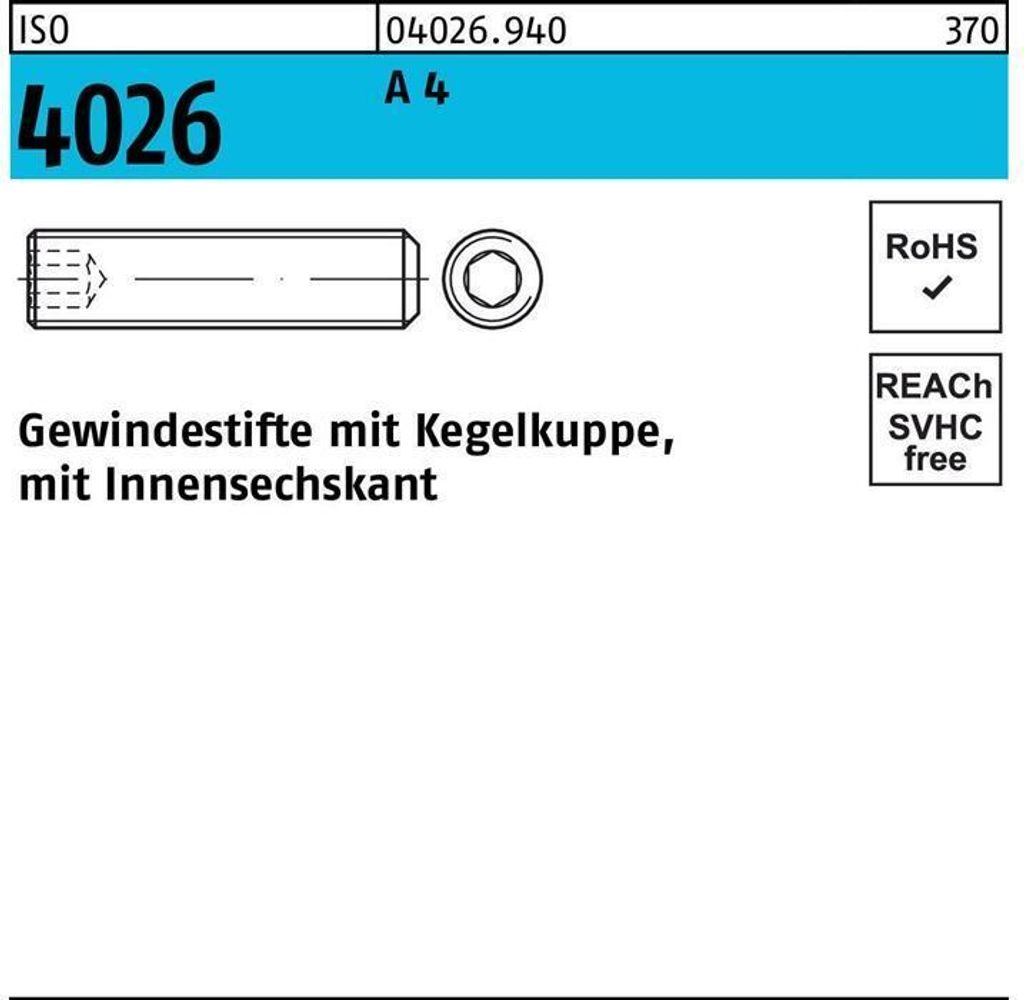 Reyher Gewindestifte ISO 4026 A 4 M 5 x 20 A 4 (500 Stück)