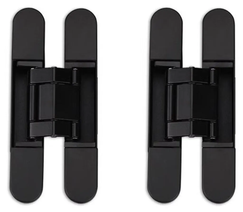 Charnière invisible noire pour porte d'intérieur lot de 2 en zinc INF