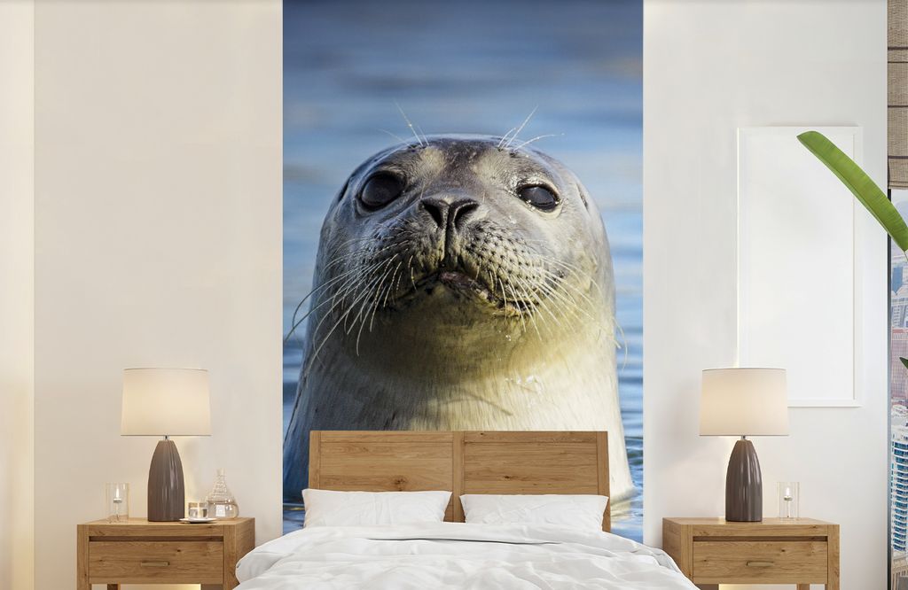 MuchoWow Fototapete für Wohnzimmer oder Schlafzimmer Wandtapete Vinyl Motivtapete Siegel - Porträt - Wasser - 120x240 cm - Hintergrundbild
