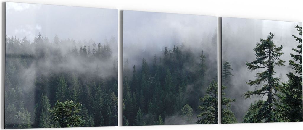 DEQORI Glasbild Echtglas 3x50x50 cm 'Tannenspitzen im Nebel' Wandbilder XXL groß