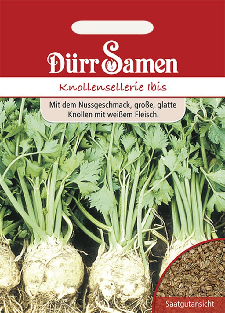 Dürr-Samen - Knollensellerie Ibis - Saatgut - 1918 Produktbild 