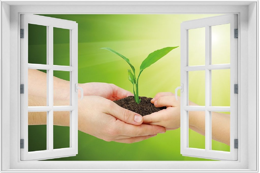 Wallario Wandbild mit Fenster-Illusion: Eine zarte Pflanze - von Hand zu Hand, Größe: 61 x 91,5 cm, Poster mit weißem Aluminiumrahmen