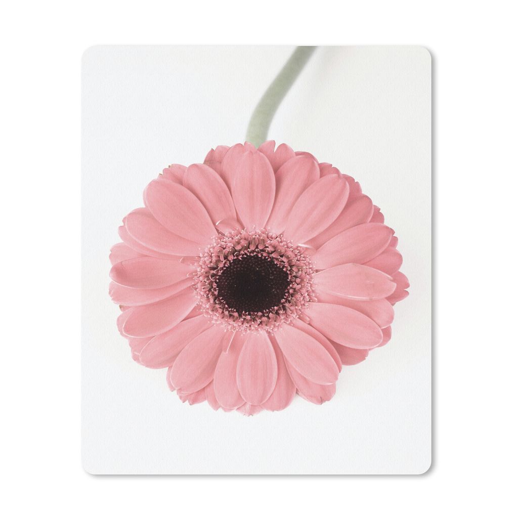 MuchoWow Mauspad Mousepad Blume - Rosa - Natur - Pflanze 30x40 cm - Mousepads - Maus Mat - Pad - Mausunterlage - Mausmatten