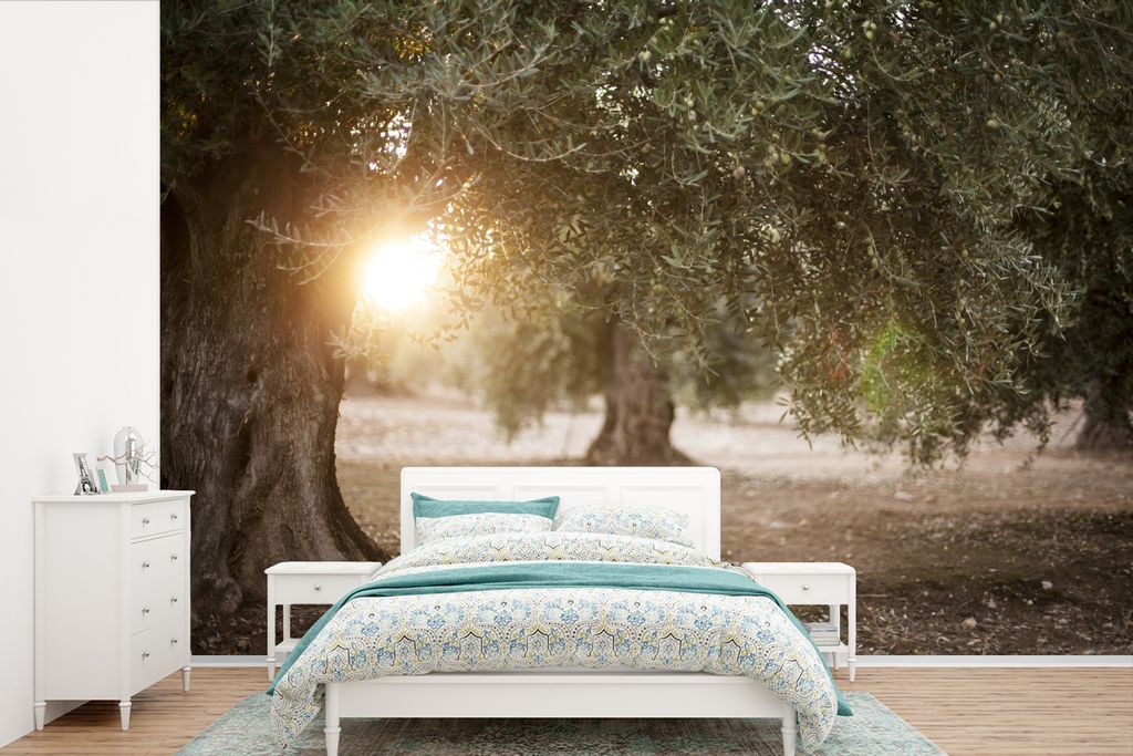 MuchoWow Fototapete für Wohnzimmer oder Schlafzimmer Wandtapete Vinyl Motivtapete Olivenbäume in Andalusien - 525x350 cm - Das Hintergrundbild