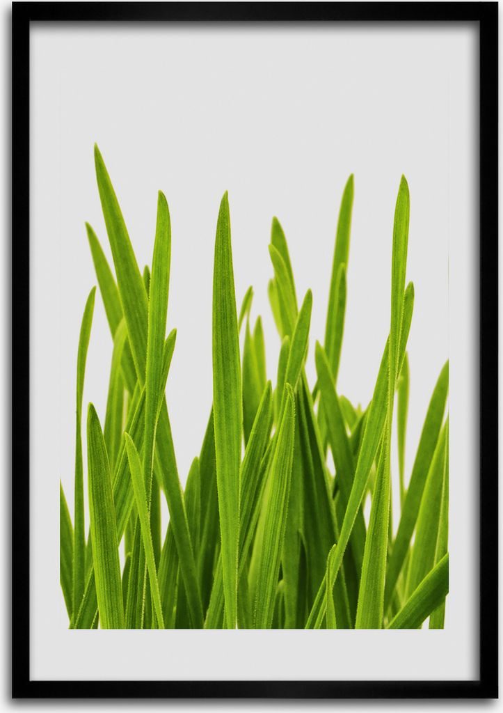 Bild - Bilderrahmen - 50 cm x 70 cm - MDF - Rahmen - Wandkunst Grünes Gras