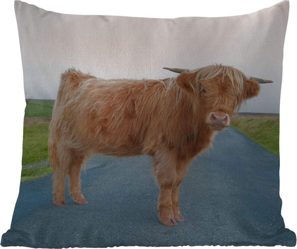 MuchoWow Outdoor Kissen - Scottish Hochlandrind - Straße - Gras - 60x60 cm - Wetterfest - Lounge Kissen - Dekoration - Schlaf Kissen