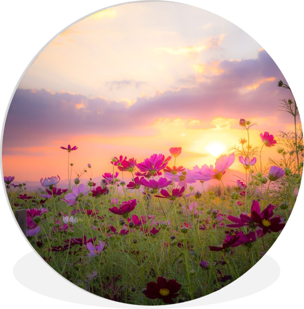 MuchoWow Rundes Wandbild - Runde Bilder Sonnenuntergang - Blumen - Rosa - Natur - Grün Ø 30 cm Kreis Wanddekoration Kunststoff - Wandkreis - Wa...