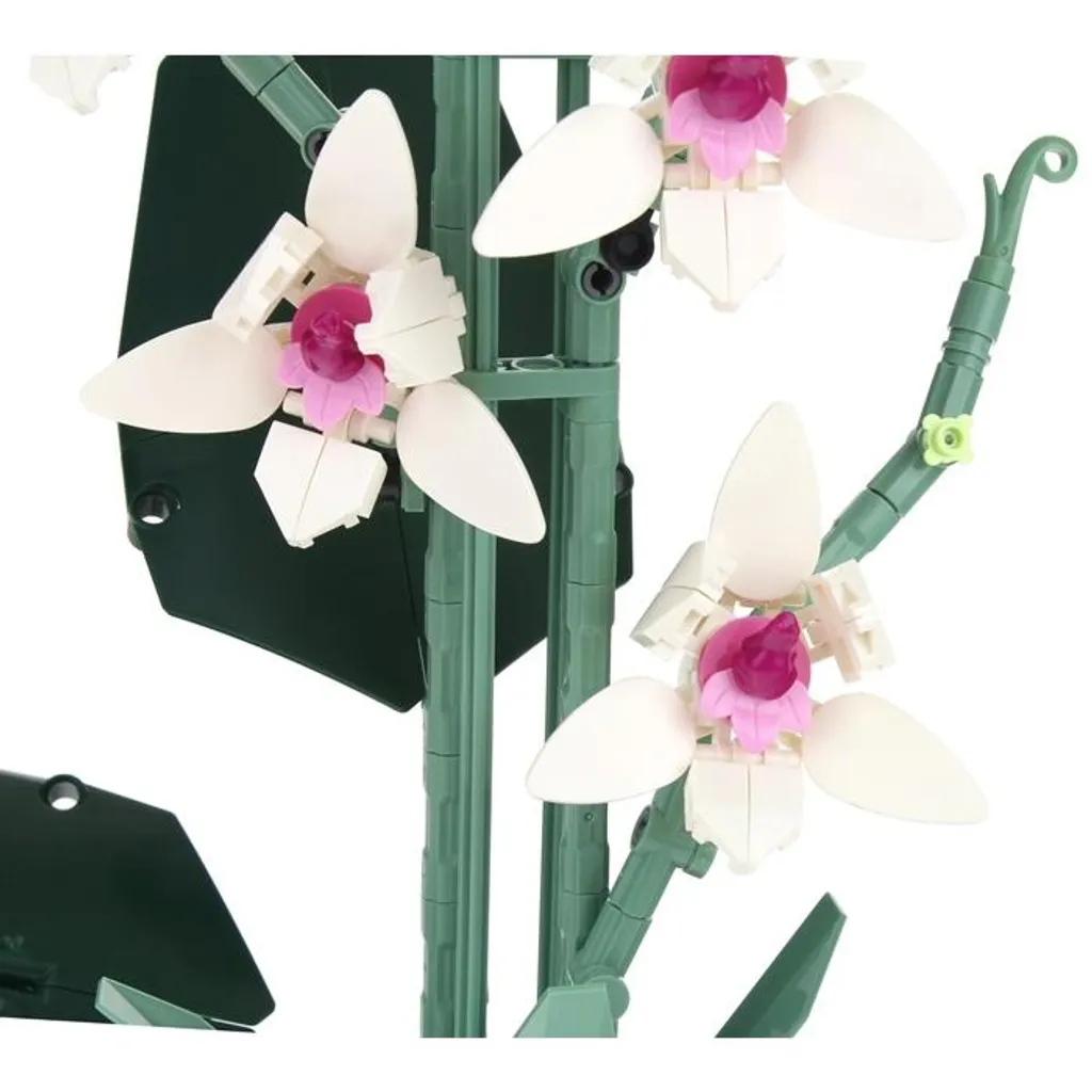 Plante sans entretien : Orchidée en blocs de construction avec son pot - 7